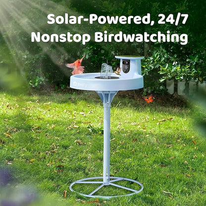 Smart Bird Bath with Camera Solar Powered & Fountain & Stand, Dual-Lens Camera for Wildbird Watching, Auto Capture Bird Videos & Motion Detection - AI by Subscription