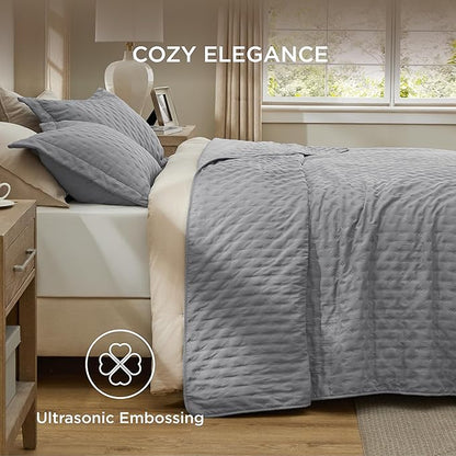 Bedsure Quilts Queen Size - Grey Bedspread Queen Size & Lightweight Comforter, Modern Coverlet with Clover Pattern, Ultra Soft All-Season Bedding, 90 x 96 Inches | Stitch-Free Quilting, Ultra Soft, Lightweight, Machine Washable, Pet-Friendly