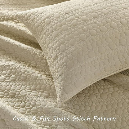 HORIMOTE HOME Quilt Set Queen Size Brich Beige, Classic Geometric Spots Stitched Pattern, Pre-Washed Microfiber Chic Rustic Look, Ultra Soft Lightweight Quilted Bedspread for All Season, 3 Pieces