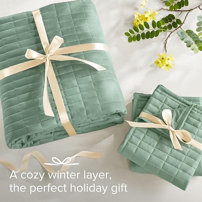 Comfort Spaces Kienna Quilt Set- Double Sided Stitching Design Summer Blanket, Lightweight, Soft, All Season Bedding Layer, Matching Sham, Sage Green, Coverlet Full/Queen(90"x90") 3 Piece