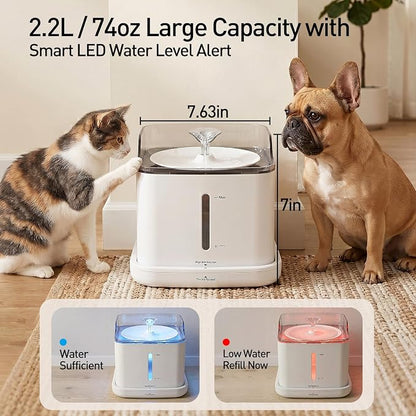 Cat Water Fountain, 2.2L Automatic Pet Water Fountain for Cats and Small Dogs, 2.4GHz WiFi App Control, Rechargeable Motion Sensor, 3 Water Modes, Detachable Tank, White