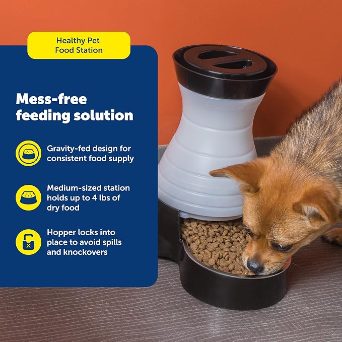 PetSafe Healthy Pet Food Station, Medium | Dry Food Dispenser, Removable Stainless Steel Bowl Is Dishwasher Safe, Space-Saving Design
