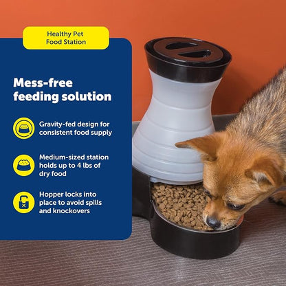 PetSafe Healthy Pet Food Station, Medium | Dry Food Dispenser, Removable Stainless Steel Bowl Is Dishwasher Safe, Space-Saving Design