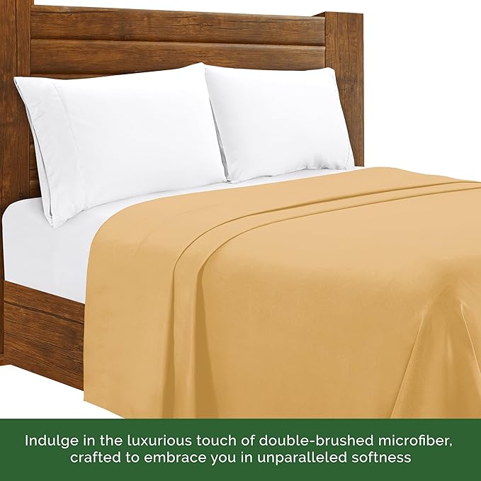 Luxury Flat Sheet on Amazon Elegant Comfort Wrinkle-Free 1500 Premier Hotel Quality 1-Piece Flat Sheet, King Size, Gold