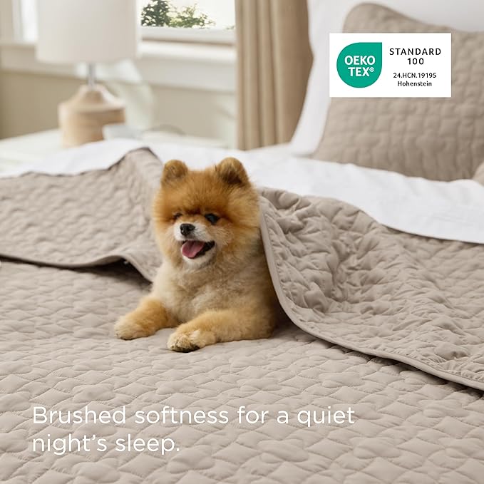 Bedsure Quilts Queen Size - Lightweight Bedspreads Queen Size with Lucky Star Quilting, Soft Quilt Bedding Set, Taupe Comforter Set Coverlet for All Seasons with 2 Pillow Shams (90" x 96") | Skin-Friendly Soft, All-Season Comfort, Breathable, Lightweig...
