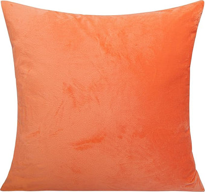NTBAY Velvet Square Zippered Throw Pillow Cover, Super Soft and Luxury Decorative Euro Cushion Cover for Sofa, Couch, 24x24 Inches, Orange