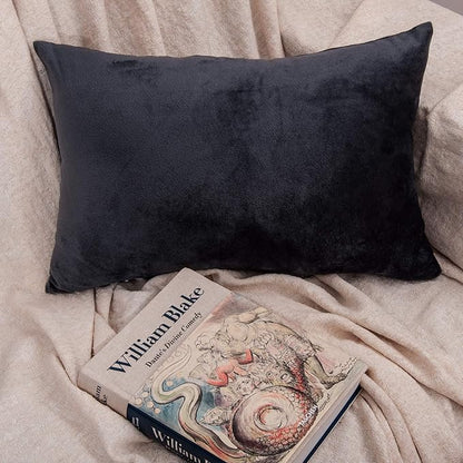 NTBAY 2 Pack Zippered Velvet King Pillowcases, Super Soft and Cozy Luxury Fuzzy Flannel Pillow Cases with Zipper, 20x36 Inches, Charcoal Grey