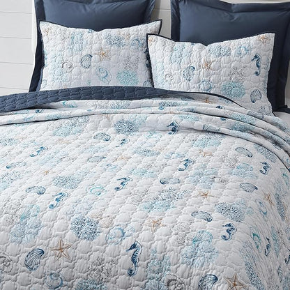 Wonderful Cotton Coastal Quilt Set King Size, Shell Stitched Quilting Reversible Cotton Bedding Cover with 2 Shams, Nautical Beach Lightweight Bedspreads Coverlet Summer Bedding, 106"x94"