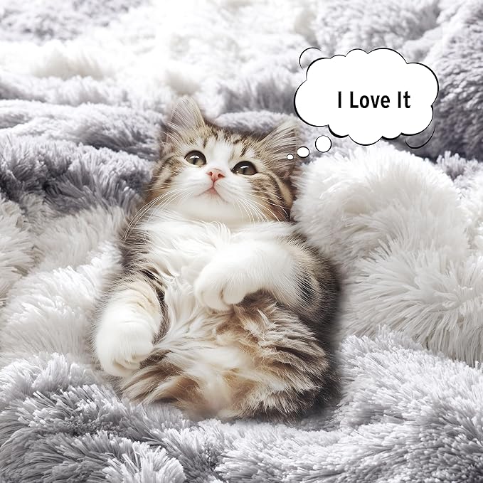 Intelligent Design Shaggy Faux Fur Comforter Set, Cozy & Soft Long Fur with Ombre Color Waves Pattern, Modern All Season Down Alternative Bed Set with Matching Sham, Cassie Twin/Twin XL Grey 2 Piece