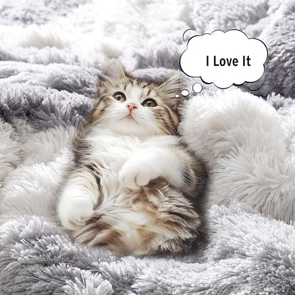 Intelligent Design Shaggy Faux Fur Comforter Set, Cozy & Soft Long Fur with Ombre Color Waves Pattern, Modern All Season Down Alternative Bed Set with Matching Sham, Cassie Twin/Twin XL Grey 2 Piece
