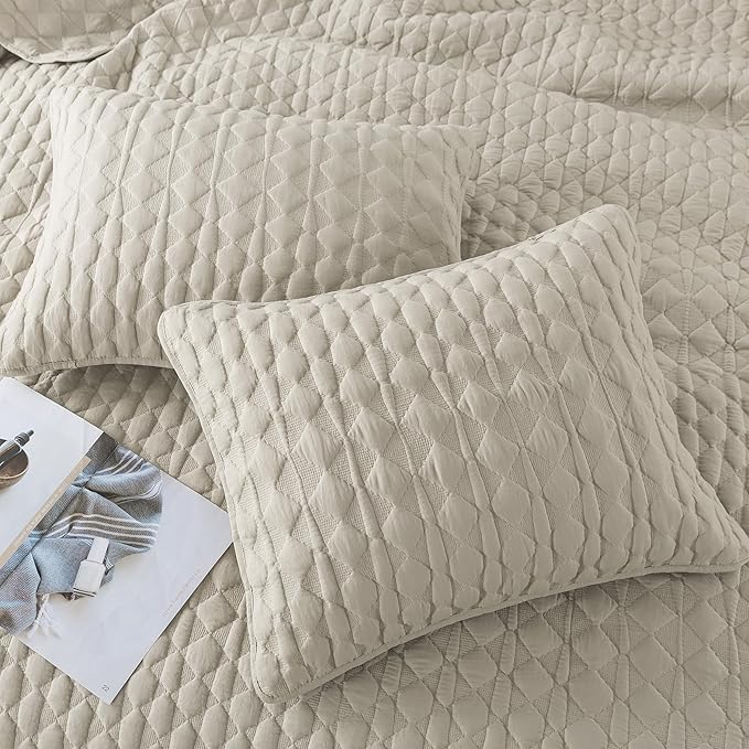 WDCOZY Light Beige Quilts Queen Size Bedding Set with 2 Pillow Shams, Lightweight Soft Full Bedspread Coverlet, Thin Comforter Bed Cover for All Season, 3 Pieces, 90x90 inches