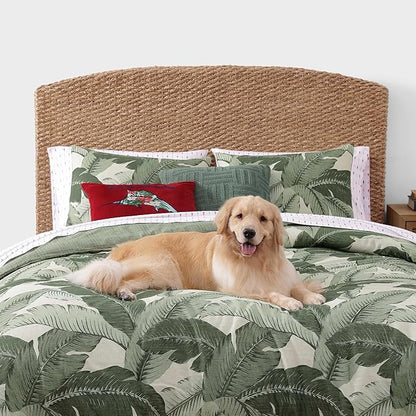 Tommy Bahama - Queen Size Sheet Set, Crisp & Cool Cotton Percale Bedding with a Smooth Lightweight Feel, 4 Piece Holiday Bed Sheets with Matching Pillowcases (Pineapple Pinstripe Red)