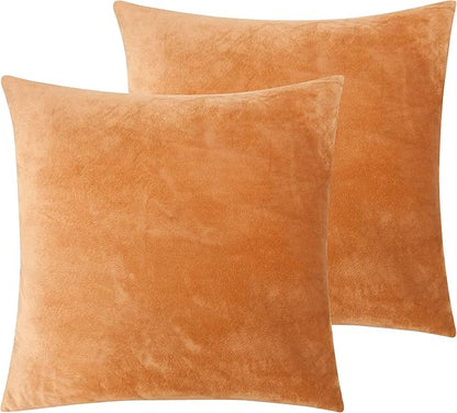 NTBAY Zippered Velvet Square Throw Pillow Covers, 2 Pack Soft and Luxury Decorative Cushion Cases, 18x18 Inches, Ginger Yellow