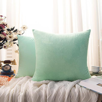 NTBAY Velvet 2 Pack Square Zippered Throw Pillow Covers, Super Soft and Luxury Euro Cushion Covers for Sofa, Couch, 24x24 Inches, Cyan