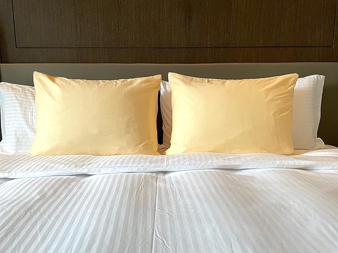 iMaylex Soft 100% Egyptian Cotton Zipper Closure Pillowcases, Cozy and Lightweight Pillow Case, Set of 2, Apricot, Queen, 20" x 30"
