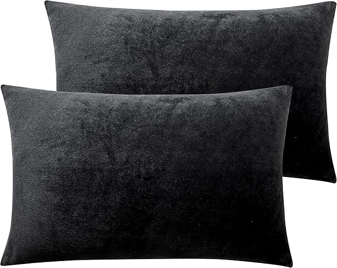 NTBAY 2 Pack Zippered Velvet Queen Pillowcases, Super Soft and Cozy Luxury Fuzzy Flannel Pillow Cases with Zipper, 20x30 Inches, Black