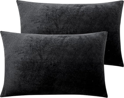 NTBAY 2 Pack Zippered Velvet Queen Pillowcases, Super Soft and Cozy Luxury Fuzzy Flannel Pillow Cases with Zipper, 20x30 Inches, Black