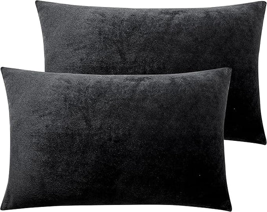 NTBAY 2 Pack Zippered Velvet Queen Pillowcases, Super Soft and Cozy Luxury Fuzzy Flannel Pillow Cases with Zipper, 20x30 Inches, Black