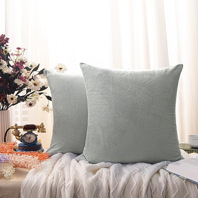 NTBAY Velvet 2 Pack Square Zippered Throw Pillow Covers, Super Soft and Luxury Euro Cushion Covers for Sofa, Couch, 24x24 Inches, Light Grey