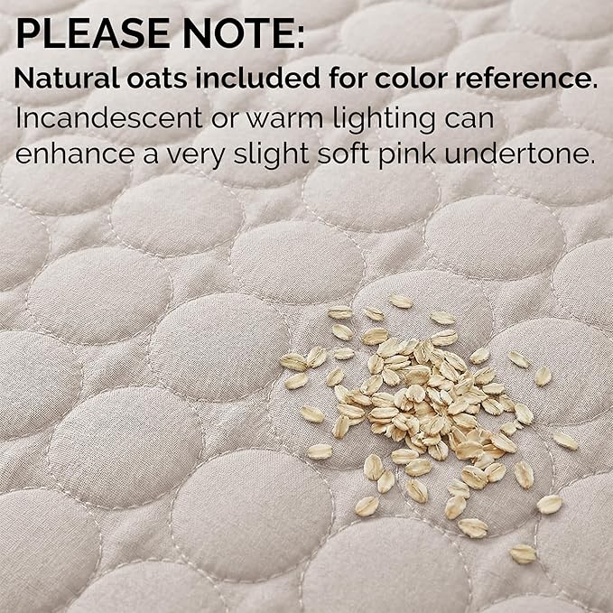 Southshore Fine Living, Inc. Dorm Comforter, Twin/XL Quilt Bedding Set, College Dorm Room Bedding Essentials, Stain Resistant, Machine Washable, XL/Twin Quilt Bed Spread with Pillow Sham, Bone Color