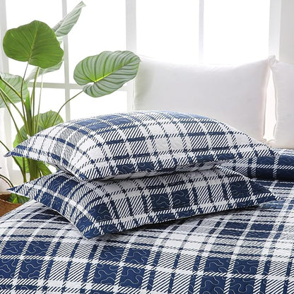 Plaid Quilt Set Queen Size - Ultra Soft Gingham Bed Quilts with 2 Pillow Shams, Lightweight Reversible Striped Quilted Bedspreads Coverlet 3 Pieces for Summer, 90"×90", Blue White