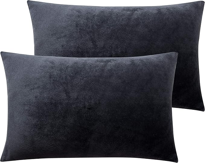 NTBAY 2 Pack Zippered Velvet Queen Pillowcases, Super Soft and Cozy Luxury Fuzzy Flannel Pillow Cases with Zipper, 20x30 Inches, Charcoal Grey