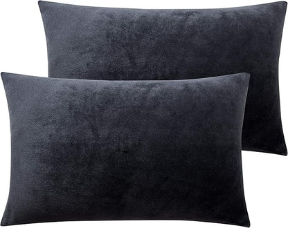 NTBAY 2 Pack Zippered Velvet Queen Pillowcases, Super Soft and Cozy Luxury Fuzzy Flannel Pillow Cases with Zipper, 20x30 Inches, Charcoal Grey