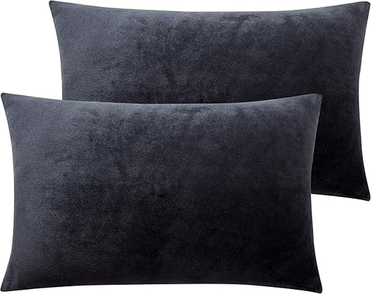 NTBAY 2 Pack Zippered Velvet Queen Pillowcases, Super Soft and Cozy Luxury Fuzzy Flannel Pillow Cases with Zipper, 20x30 Inches, Charcoal Grey