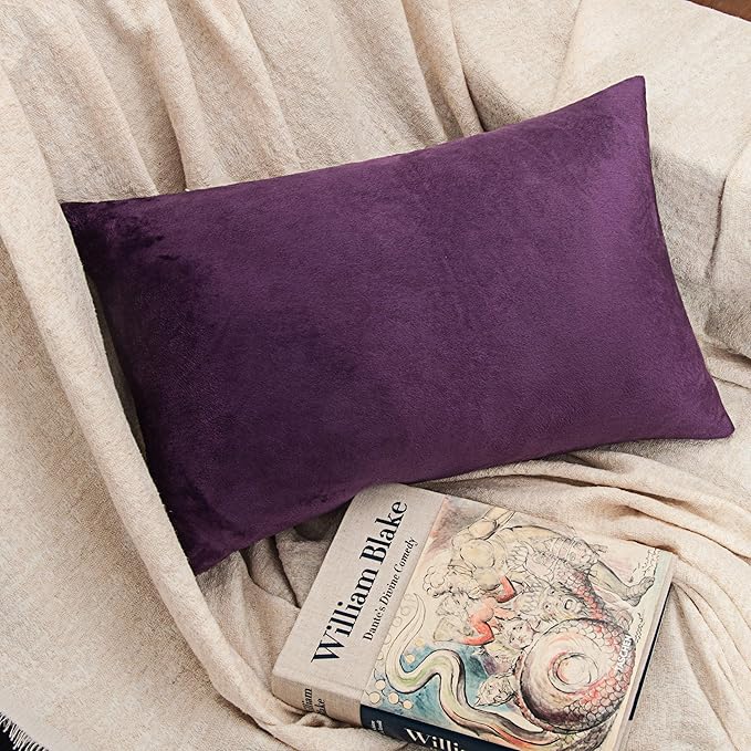 NTBAY 2 Pack Zippered Velvet Queen Pillowcases, Super Soft and Cozy Luxury Fuzzy Flannel Pillow Cases with Zipper, 20x30 Inches, Purple