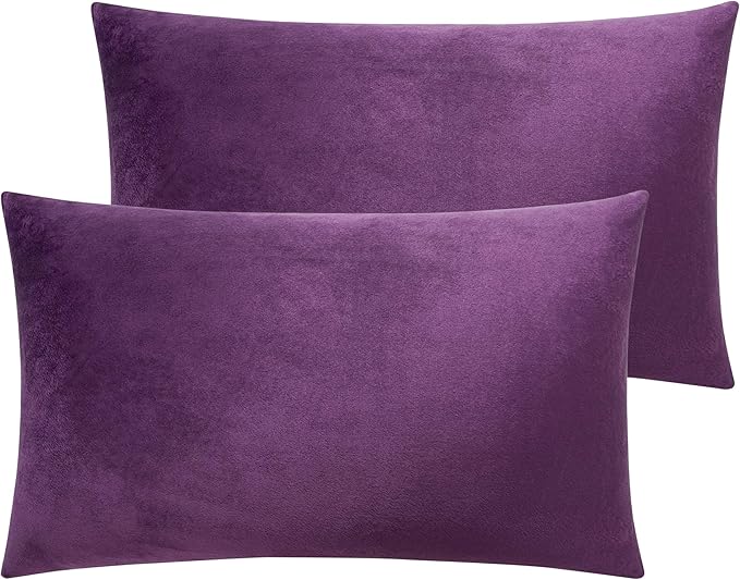NTBAY 2 Pack Zippered Velvet Queen Pillowcases, Super Soft and Cozy Luxury Fuzzy Flannel Pillow Cases with Zipper, 20x30 Inches, Purple