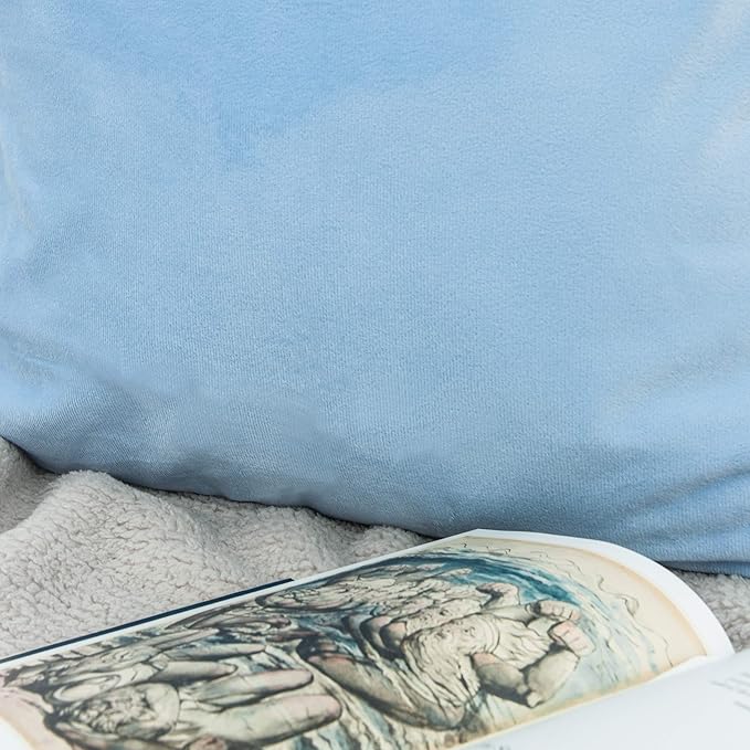 NTBAY Velvet 2 Pack Square Zippered Throw Pillow Covers, Super Soft and Luxury Euro Cushion Covers for Sofa, Couch, 26x26 Inches, Sky Blue