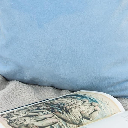 NTBAY Velvet 2 Pack Square Zippered Throw Pillow Covers, Super Soft and Luxury Euro Cushion Covers for Sofa, Couch, 24x24 Inches, Sky Blue