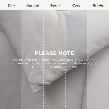 Bedsure Comforter Duvet Insert - Quilted Comforters Queen Plus Size, All Season Duvet, GentleSoft Down Alternative Bedding, with 8 Tabs, Gifts for Women/Men,Light Grey,Queen Plus 90 x 90 Inches
