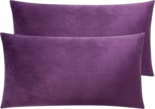 NTBAY 2 Pack Zippered Velvet King Pillowcases, Super Soft and Cozy Luxury Fuzzy Flannel Pillow Cases with Zipper, 20x36 Inches, Purple