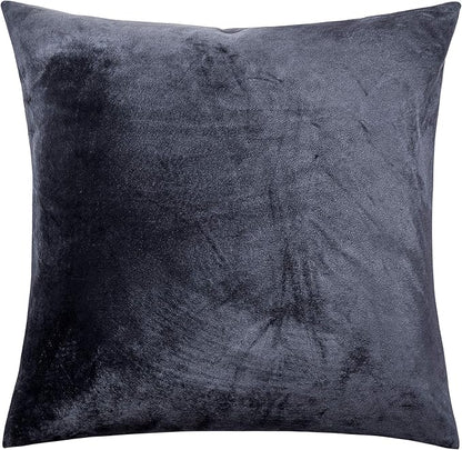 NTBAY Zippered Velvet Square Throw Pillow Cover, Super Soft and Luxury Decorative Euro Pillowcase, 26x26 Inches, Charcoal Grey
