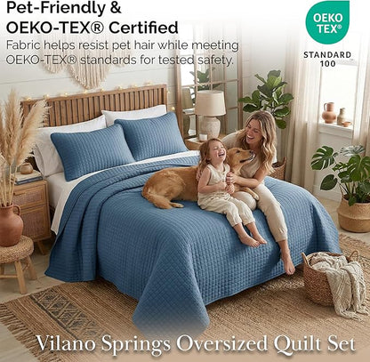 Southshore Fine Living, Inc. Queen Quilt Bedding Set, Summer Comforter Quilts Queen Size, Pet Hair Resistant Bedding, Lightweight Bedspread, Full Size Coverlet with 2 Pillow Shams, Coronet Blue Quilt