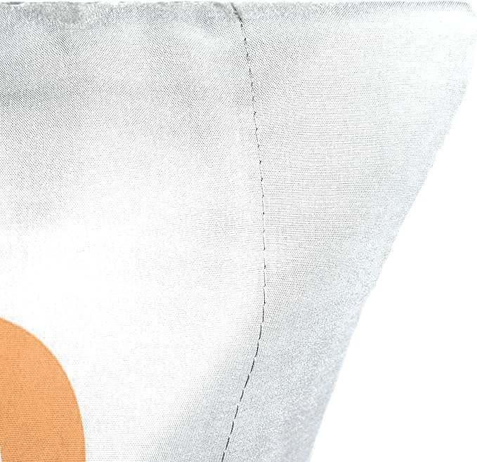 Jay Franco Bluey & Bingo 1 Single Reversible Pillowcase - Double-Sided Kids Super Soft Bedding (Official Bluey Product)