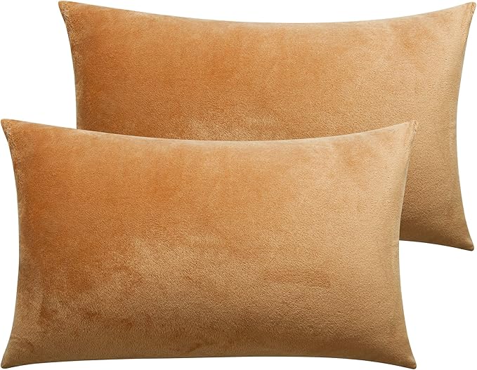 NTBAY 2 Pack Zippered Velvet Queen Pillowcases, Super Soft and Cozy Luxury Fuzzy Flannel Pillow Cases with Zipper, 20x30 Inches, Camel