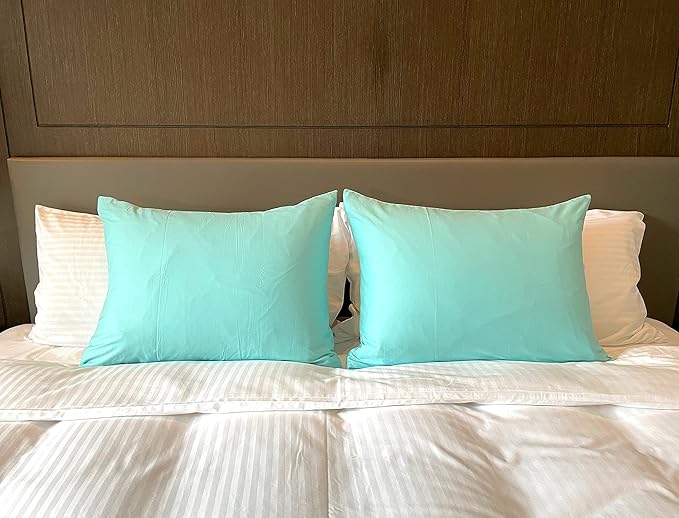 iMaylex Soft 100% Egyptian Cotton Zipper Closure Pillowcases, Cozy and Lightweight Pillow Case, Set of 2, Cyan, Queen, 20" x 30"