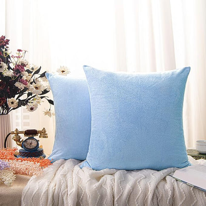 NTBAY Velvet 2 Pack Square Zippered Throw Pillow Covers, Super Soft and Luxury Euro Cushion Covers for Sofa, Couch, 24x24 Inches, Sky Blue