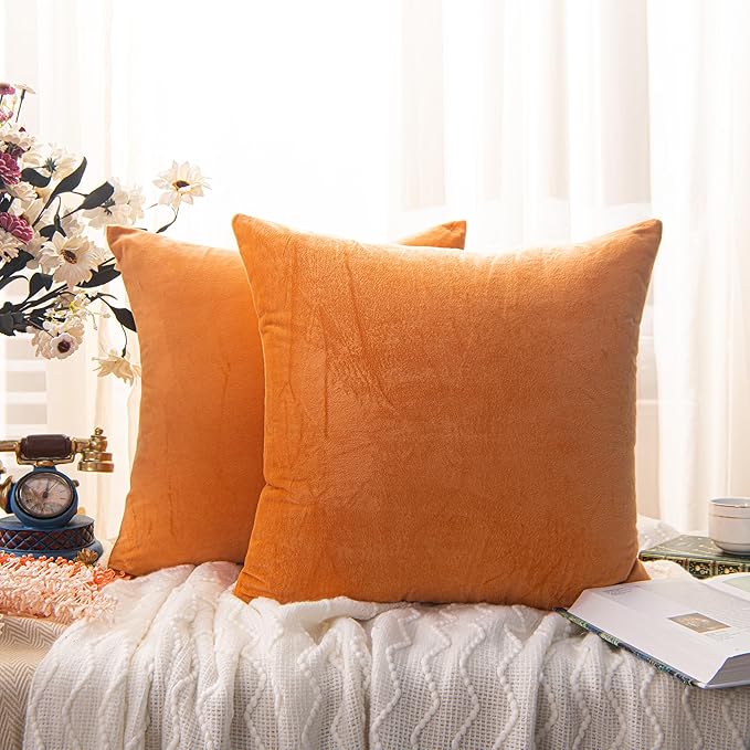 NTBAY Velvet 2 Pack Square Zippered Throw Pillow Covers, Super Soft and Luxury Euro Cushion Covers for Sofa, Couch, 24x24 Inches, Ginger Yellow