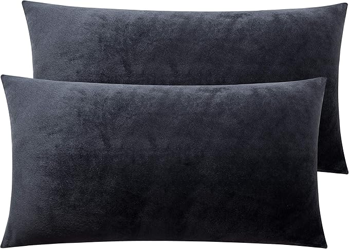 NTBAY 2 Pack Zippered Velvet King Pillowcases, Super Soft and Cozy Luxury Fuzzy Flannel Pillow Cases with Zipper, 20x36 Inches, Charcoal Grey