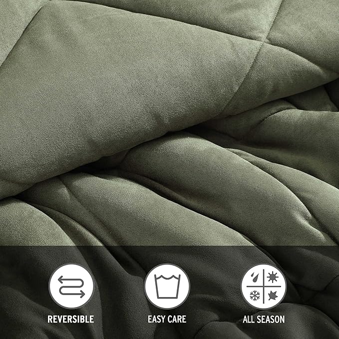 Eddie Bauer - Twin Comforter Set, Microsuede Bedding with Soft Plush Faux Shearling Reverse, 2 Piece Bed Set with Matching Pillowcase (Big Lake Plaid Green)