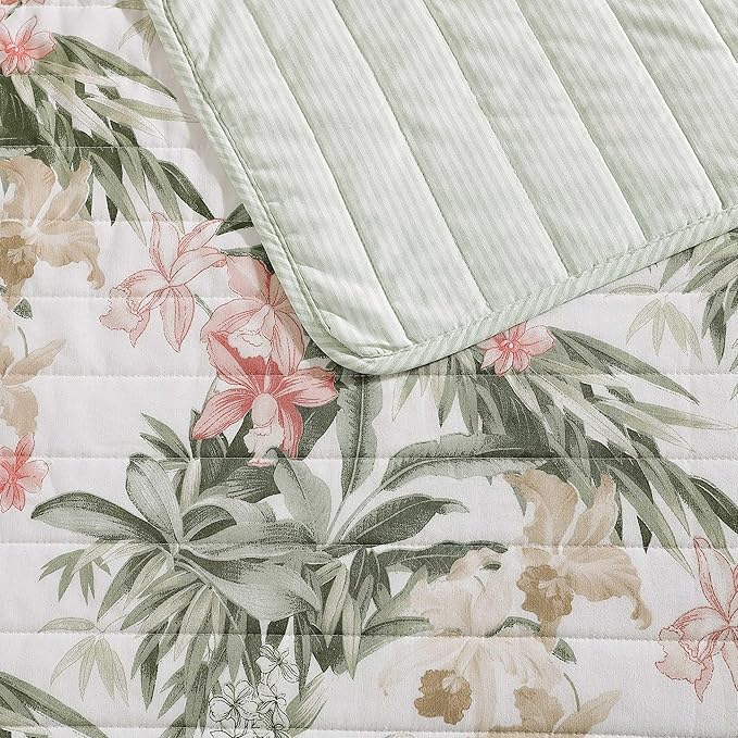 Tommy Bahama - King Quilt Set, Reversible Cotton Coastal Bedding with Matching Shams, Colorful Botanical Bedding Set (Island Orchid Pink/Cream)