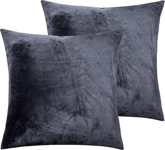 NTBAY Zippered Velvet Square Throw Pillow Covers, 2 Pack Soft and Luxury Decorative Cushion Cases, 18x18 Inches, Charcoal Grey