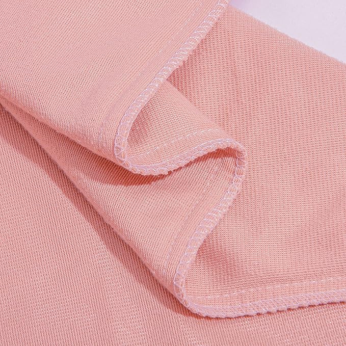 NTBAY Zippered Velvet Throw Pillow Covers, 2 Pack Super Soft and Luxury Decorative Lumbar Pillowcases, 12x20 Inches, Light Pink